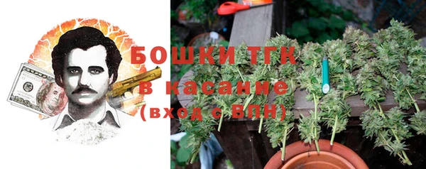 крисы Абдулино